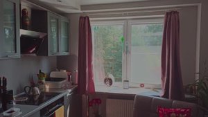 Рулонные шторы. Ткань Тэфи 05 (серый).