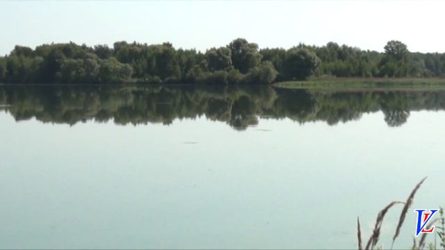 Владимир Ларионов "Липецкое море".