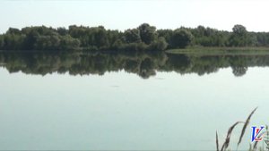 Владимир Ларионов "Липецкое море".