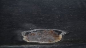 Оцинковка своими руками! Итоги спустя Время!