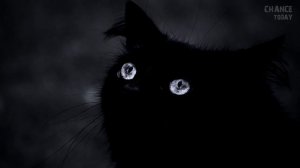 11 самых редких цветов глаз у людей