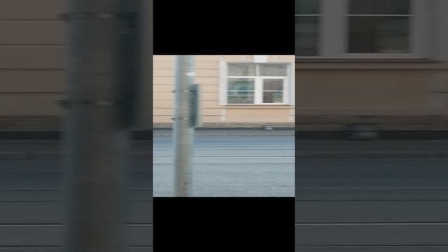 ТИПО НОЧЛЕЖКА
