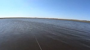 Ловля окуня.   Мормышка против каролины