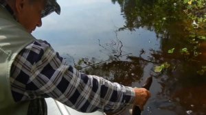 Ловля щуки, спиннингом на колебалки в запрессованных водоёмах. Где и как поймать щуку. Часть 2.