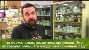 НА Андалузские ученые патентуют систему освещения, работающую на микроводорослях и бактериях