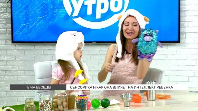 Сенсорика для детей смотреть онлайн