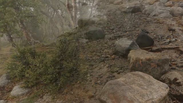 Соловки. Туманное утро смотреть онлайн