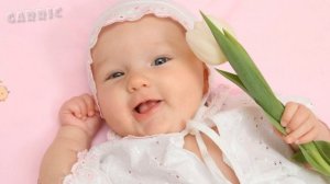 " Аист"  Для вашего творчества в ProShow Producer