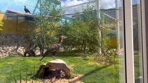 Зоопарк / Москва. 2023 июнь.