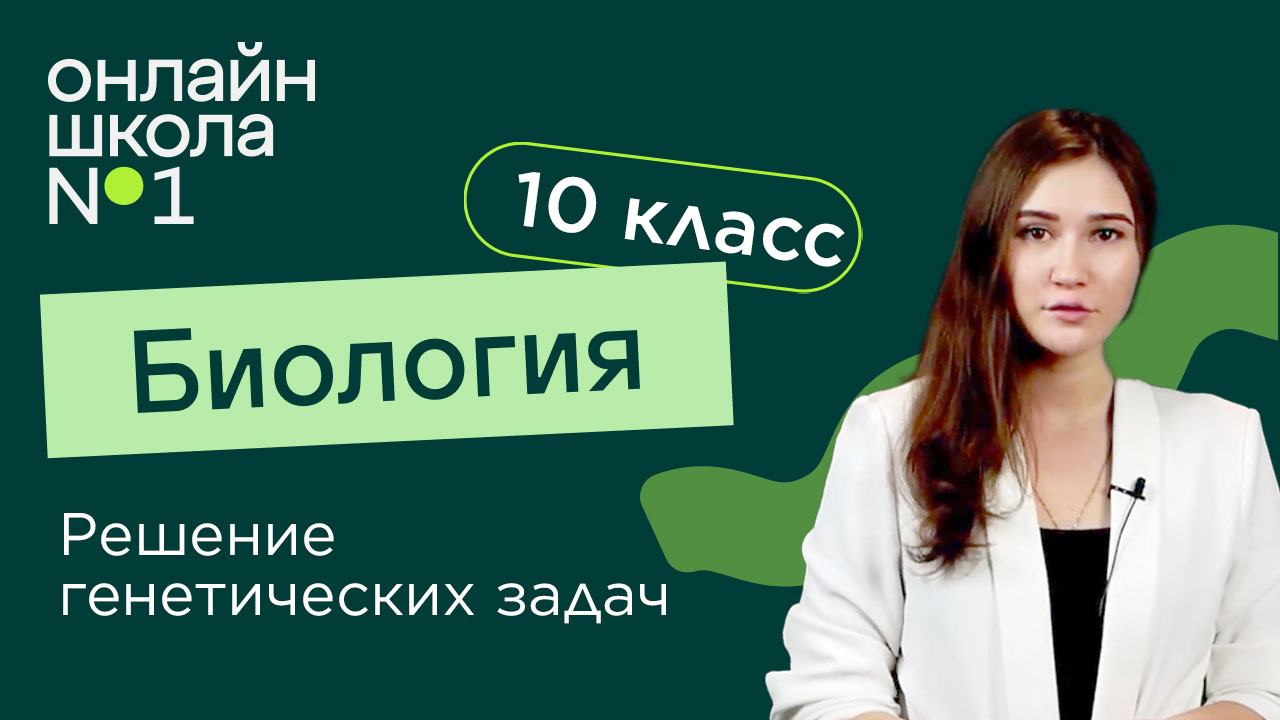 Решение генетических задач. Биология 10 класс. Видеоурок 28