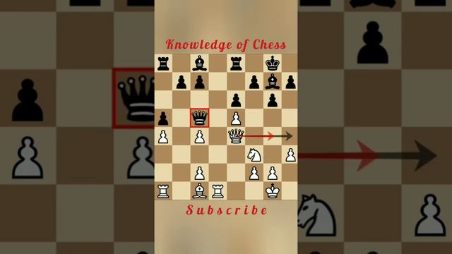 Chess Alekhine Defence destroyed by Nigel Short || Beautiful King March || Nigel Short best game