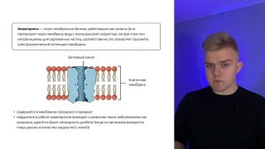 БЕЛКИ ДЛЯ ЕГЭ ПО БИОЛОГИИ