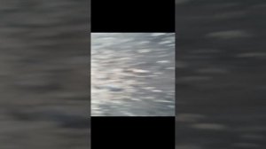 зомби апокалипсис 2-я серия