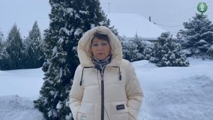 Сказочная нежность. Роза Лионс Роуз ( Lions Rose).  Питомник растений Е. Иващенко