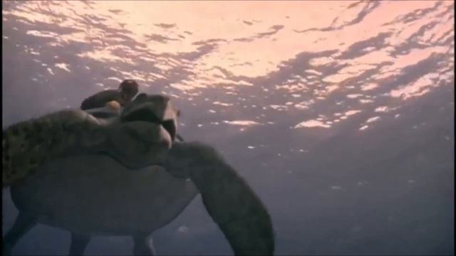 TRILOGY OF LIFE - Sea Monsters - "Archelon" смотреть онлайн