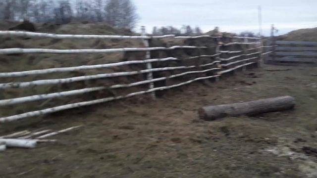 Загон для лошадей. Без понтов!!!!! смотреть онлайн