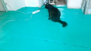 ЧЕРНУШКА🖤🖤🖤