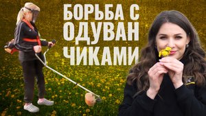 Дачники VS Одуванчики. Как бороться с сорняком? Стрижка газона и хвойных деревьев в собственном саду