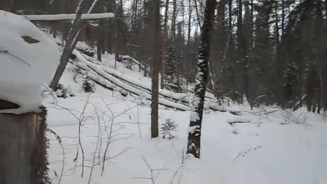 22.12.2020. Минино. Разбудили медведя. Часть 6. смотреть онлайн