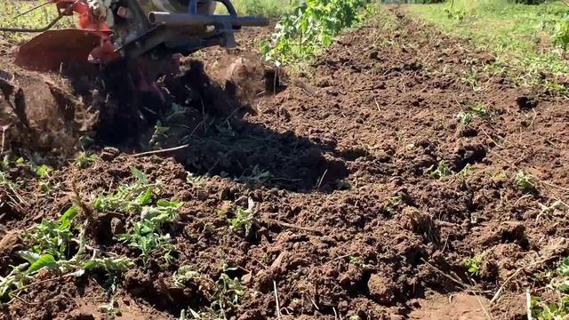 Как правильно зачистить УЧАСТОК перед посадкой клубники смотреть онлайн