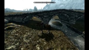 TES V Skyrim on Ati Sapphire HD4870 x2