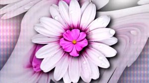 ФОН ДЛЯ ВИДЕО МОНТАЖА "ЦВЕТЫ" HD 1080 / ЗАСТАВКА ДЛЯ ВИДЕО / АНИМАЦИЯ ЦВЕТЫ