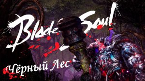 #5 Blade & Soul (gameplay only)