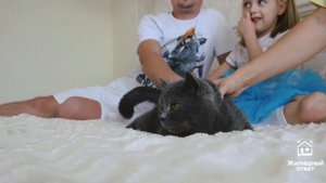 Семья Черновых о переезде в дом в д.Крутая | Отзыв