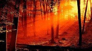 Ludovico Einaudi - Divenire [HD]
