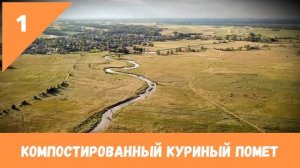 Куриный помет – удобрение для деревьев и кустарников