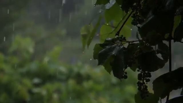 Звуки дождя для сна. Белый шум.