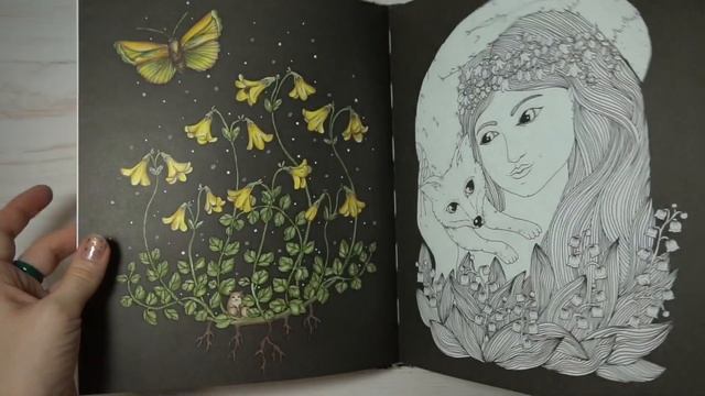 Моя коллекция раскрасок-антистресс. Все раскрашенные страницы. Часть 2