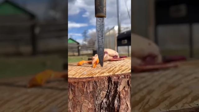 How to pluck, butcher and gut a wild duck / Как ощипать, разделать и выпотрошить дикую утку