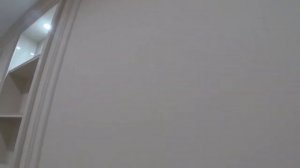 Окраска по трафарету. Декоративное покрытие стен Скин. Художественная роспись