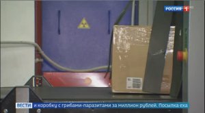 Телеканал «Россия 1», программа «Вести. Москва», 07.09.2023