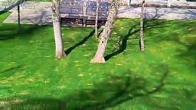 Струковский сад у набережной реки Волги в Самаре смотреть онлайн