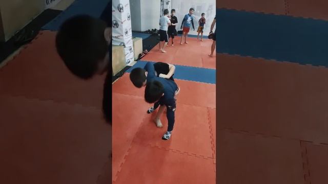 Мои ученики показывают навыки в бросках #mma #judotraining