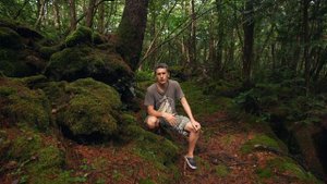 Правда про  Лес самоубийц в Японии  - Аокигахара   Настоящая Япония