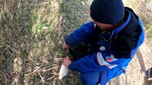 ЛОВЛЯ САЗАНА В ОКТЯБРЕ...НА КАНАЛЕ  "ДГК" х.ЛЕБЕДИ...НЕ СМОТРЯ НА ВЕТРЯНУЮ ПОГОДУ..РЫБАЛКА УДАЛАСЬ