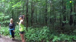 Первая тренировка клуба Бегоман (№175)