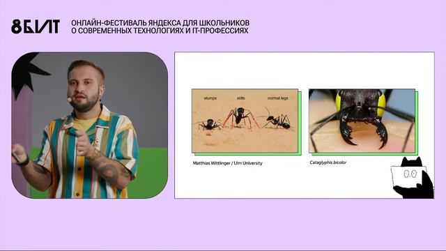 Как пчелы и муравьи помогают строить идеальных роботов — Илья Гомыранов