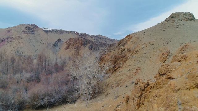 Курай смотреть онлайн