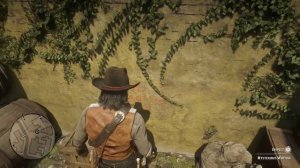 Hunting The Saint Denis Vampire And Ornate Dagger Location Red Dead Redemption 2