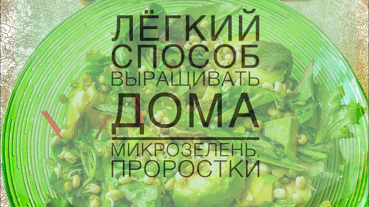 Лёгкий способ проращивать дома микрозелень, проростки и Черри