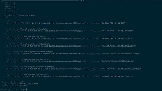 mongocli for Ops Manager Demo - MongoDB Private Cloud смотреть онлайн