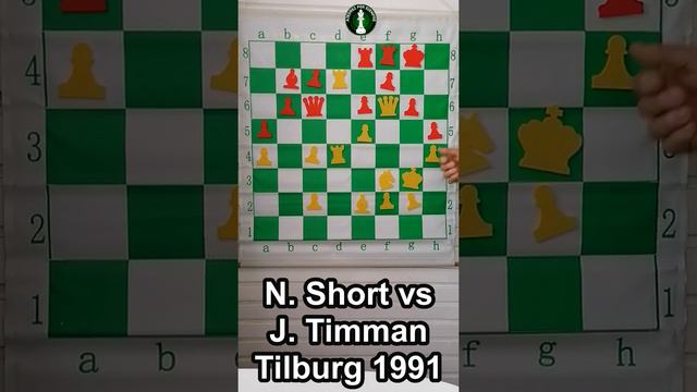 N. Short vs J. Timman Tilburg 1991