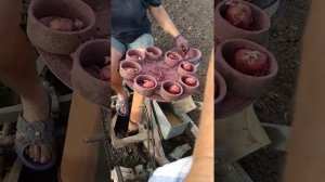 самодельная картофеле сажалка(2)