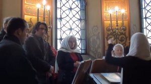 Тебе поем. Литургия свт. Василия Великого.