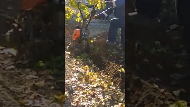 Вспашка огорода плугом из предплужника