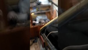 Как можно снять старую тонировку